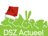 DSZ-actueel | Nieuwsportal voor de dierenbranche