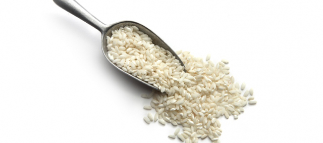 “Rijst zou meer moeten worden gebruikt in huisdiervoeding”