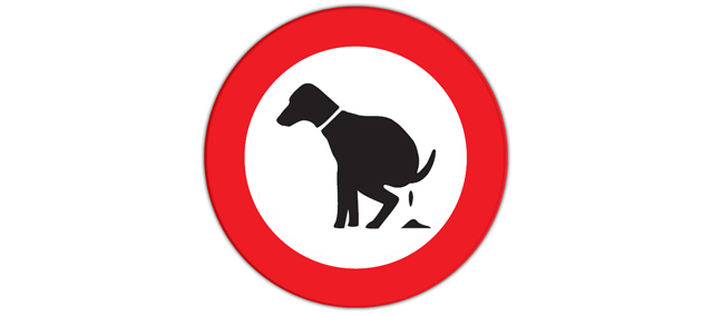 Verbod voor uitlaten honden op dijken in Flevoland