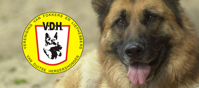 V.D.H. heeft nieuwe sponsor voor Wereld Kampioenschap Duitse Herdershonden