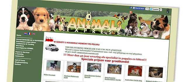 Belgische firma Animal Express moet deuren sluiten
