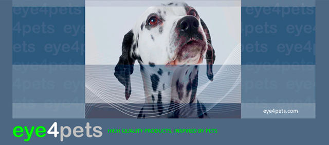 Eye4pets is op zoek naar een full time vertegenwoordiger/buitendienst medewerker m/v