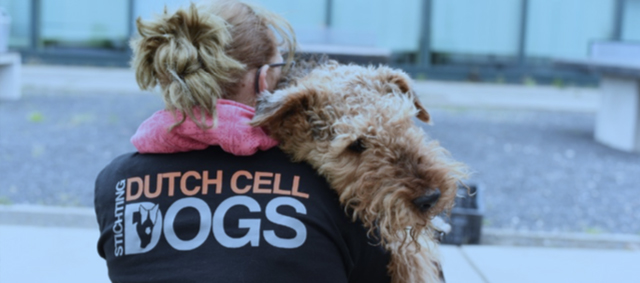 Farm Food stimuleert ‘Neem je hond mee naar het werk’-dag en zamelt geld in voor Dutch Cell Dogs