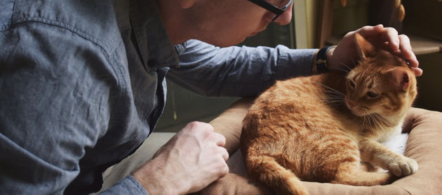 PETscan maakt gerichte aanpak van erfelijke ziektes bij hond en kat mogelijk