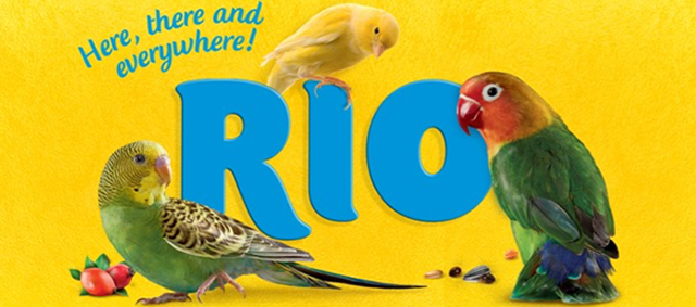 Maak kennis met RIO en haar producten voor vogels!